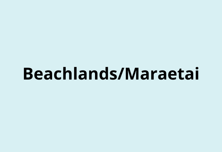 Beachlands and Maraetai servicing strategy